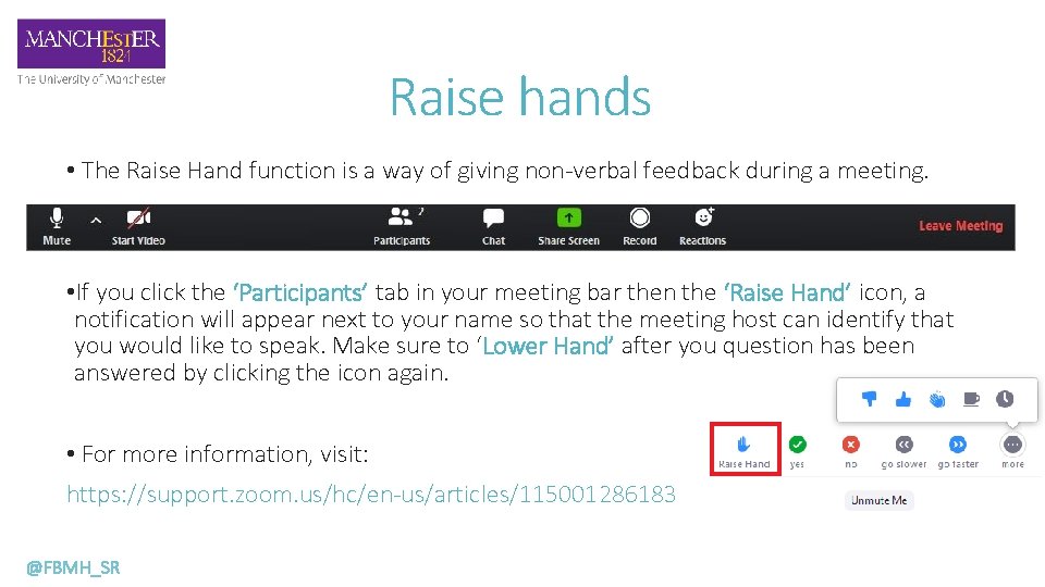 Raise hands • The Raise Hand function is a way of giving non-verbal feedback