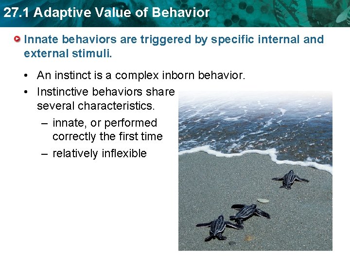27. 1 Adaptive Value of Behavior Innate behaviors are triggered by specific internal and