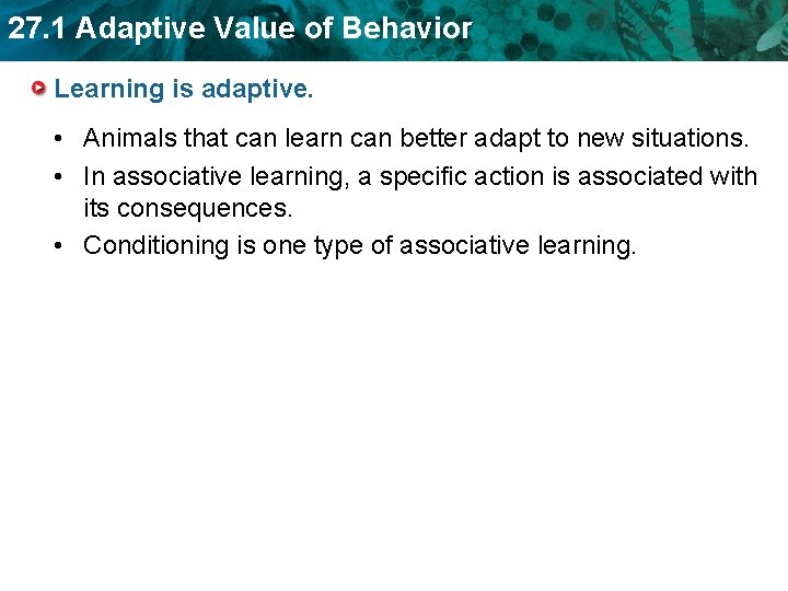 27. 1 Adaptive Value of Behavior Learning is adaptive. • Animals that can learn