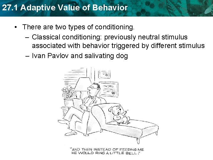 27. 1 Adaptive Value of Behavior • There are two types of conditioning. –