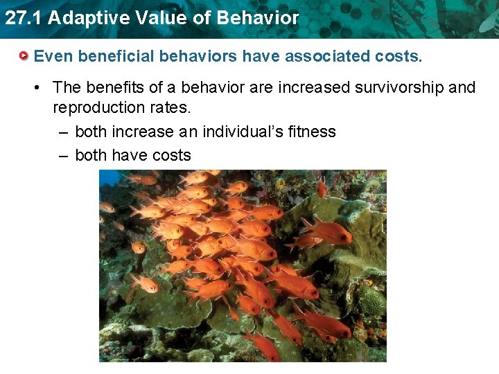 27. 1 Adaptive Value of Behavior Even beneficial behaviors have associated costs. • The