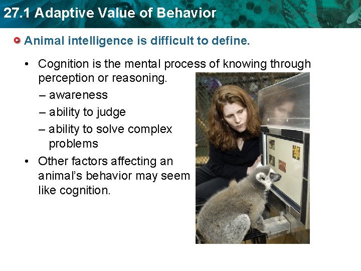 27. 1 Adaptive Value of Behavior Animal intelligence is difficult to define. • Cognition