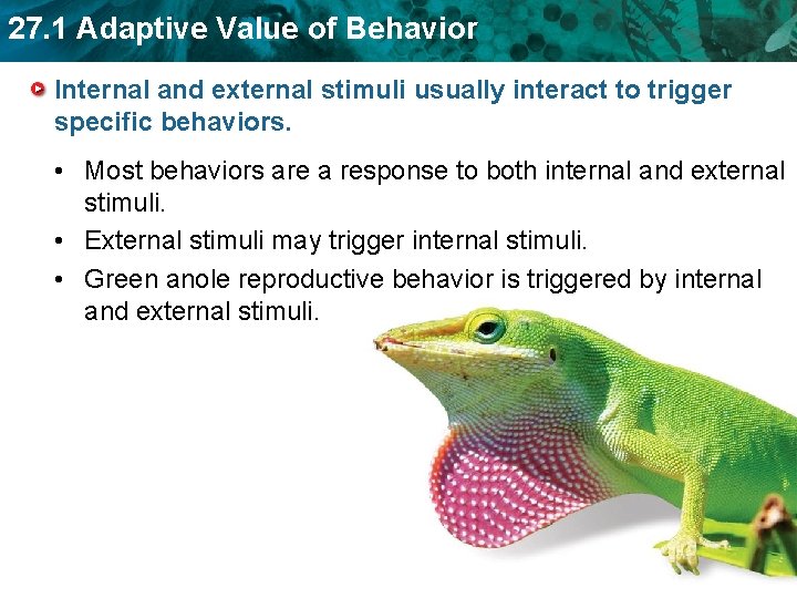 27. 1 Adaptive Value of Behavior Internal and external stimuli usually interact to trigger