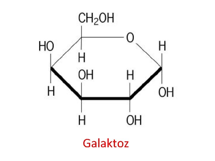 Galaktoz 