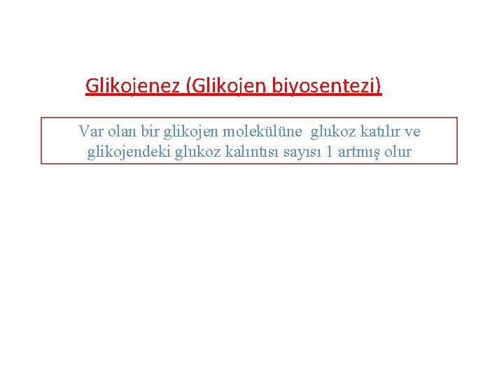 Glikojenez (Glikojen biyosentezi) Var olan bir glikojen molekülüne glukoz katılır ve glikojendeki glukoz kalıntısı