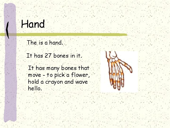 Hand The is a hand. It has 27 bones in it. It has many