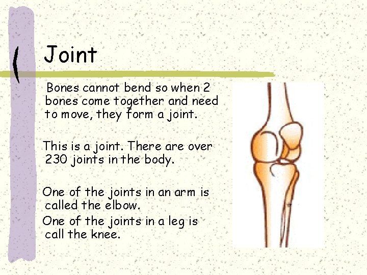 Joint Bones cannot bend so when 2 bones come together and need to move,