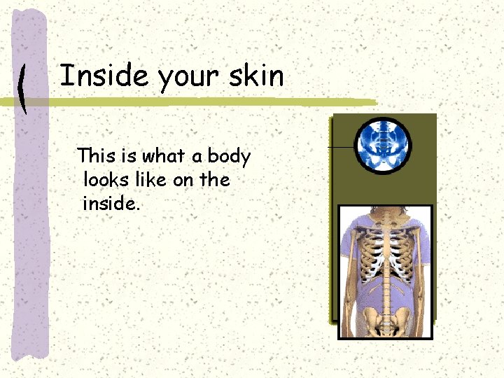Inside your skin This is what a body looks like on the inside. 