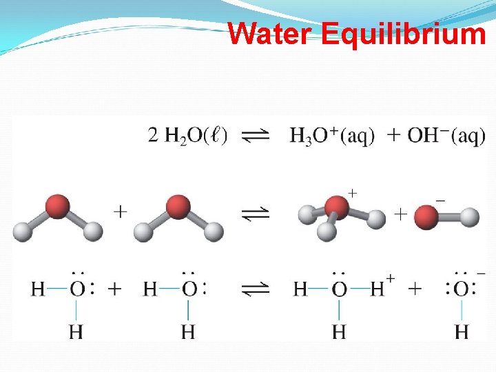 Water Equilibrium 