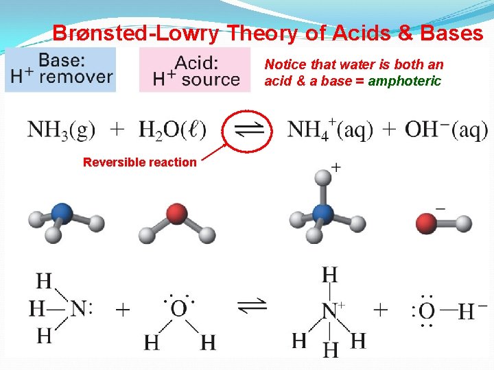 Brønsted-Lowry Theory of Acids & Bases Notice that water is both an acid &