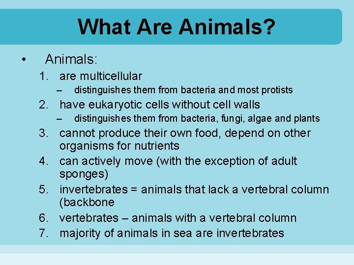 What Are Animals? • Animals: 1. are multicellular – distinguishes them from bacteria and
