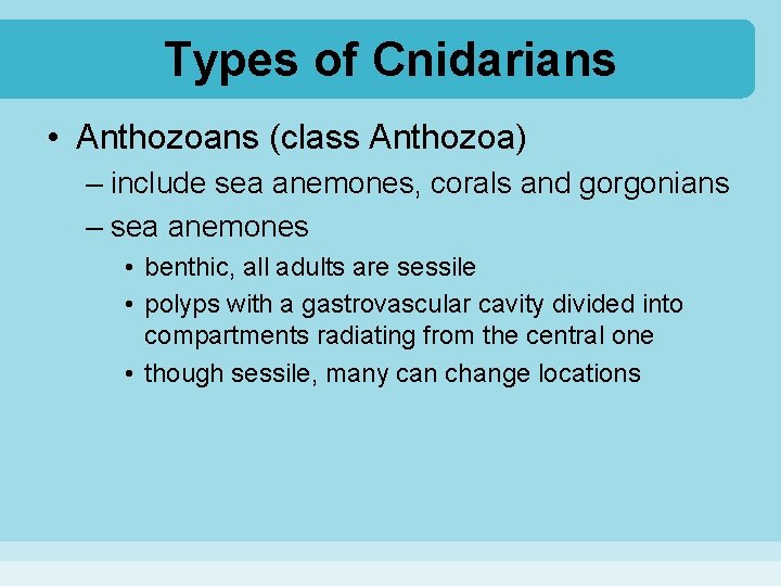 Types of Cnidarians • Anthozoans (class Anthozoa) – include sea anemones, corals and gorgonians