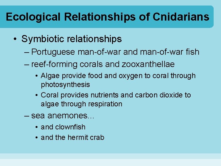 Ecological Relationships of Cnidarians • Symbiotic relationships – Portuguese man-of-war and man-of-war fish –