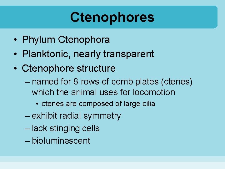 Ctenophores • Phylum Ctenophora • Planktonic, nearly transparent • Ctenophore structure – named for
