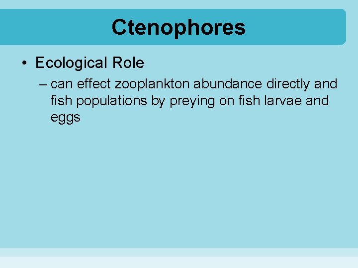 Ctenophores • Ecological Role – can effect zooplankton abundance directly and fish populations by