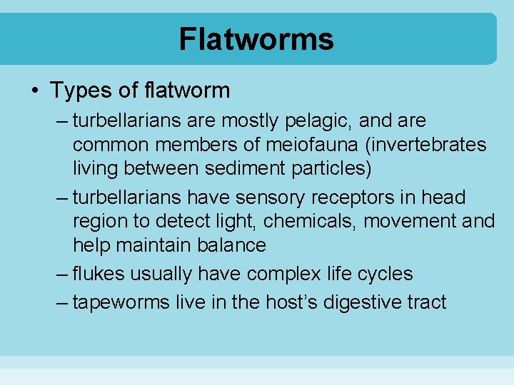 Flatworms • Types of flatworm – turbellarians are mostly pelagic, and are common members