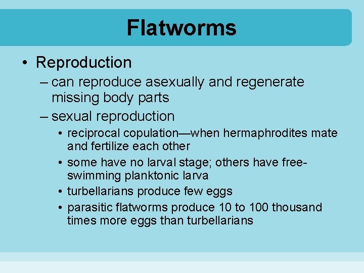 Flatworms • Reproduction – can reproduce asexually and regenerate missing body parts – sexual