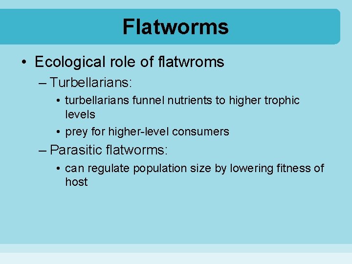 Flatworms • Ecological role of flatwroms – Turbellarians: • turbellarians funnel nutrients to higher