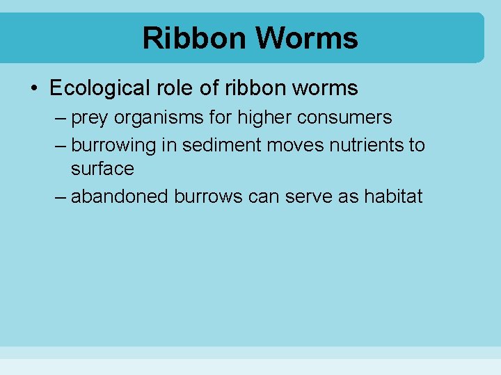 Ribbon Worms • Ecological role of ribbon worms – prey organisms for higher consumers