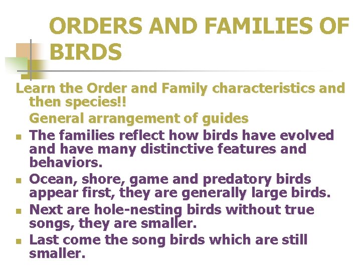 ORDERS AND FAMILIES OF BIRDS Learn the Order and Family characteristics and then species!!
