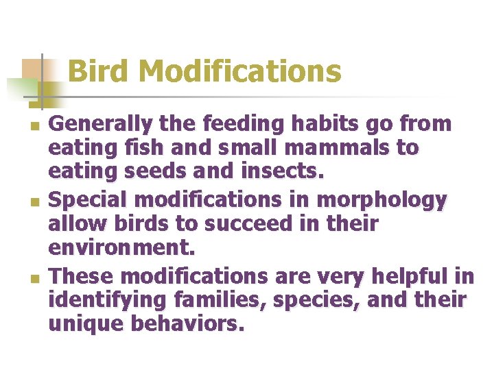 Bird Modifications n n n Generally the feeding habits go from eating fish and