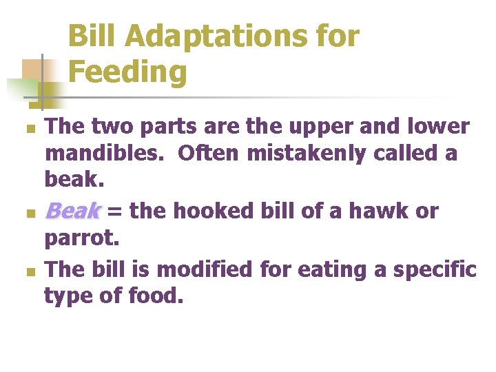 Bill Adaptations for Feeding n n n The two parts are the upper and