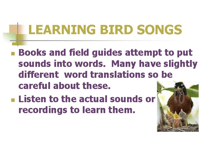 LEARNING BIRD SONGS n n Books and field guides attempt to put sounds into