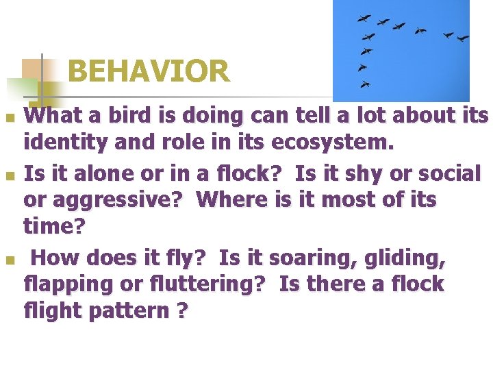 BEHAVIOR n n n What a bird is doing can tell a lot about