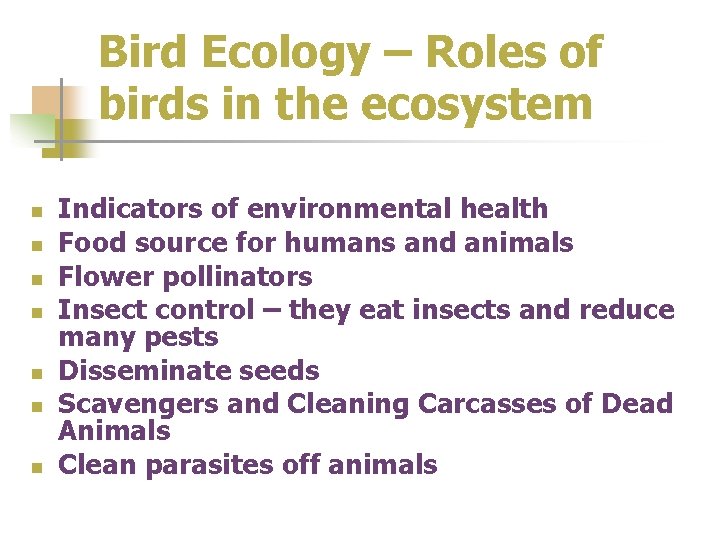 Bird Ecology – Roles of birds in the ecosystem n n n n Indicators