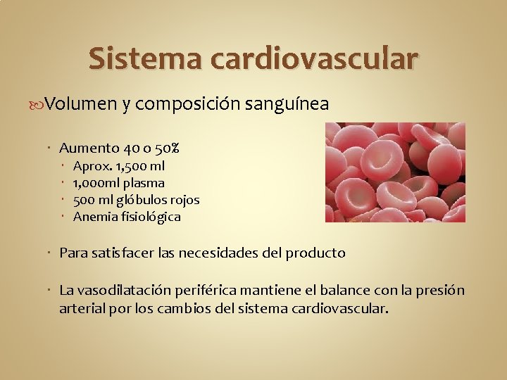Sistema cardiovascular Volumen y composición sanguínea Aumento 40 o 50% Aprox. 1, 500 ml