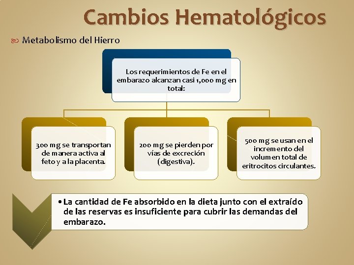 Cambios Hematológicos Metabolismo del Hierro Los requerimientos de Fe en el embarazo alcanzan casi