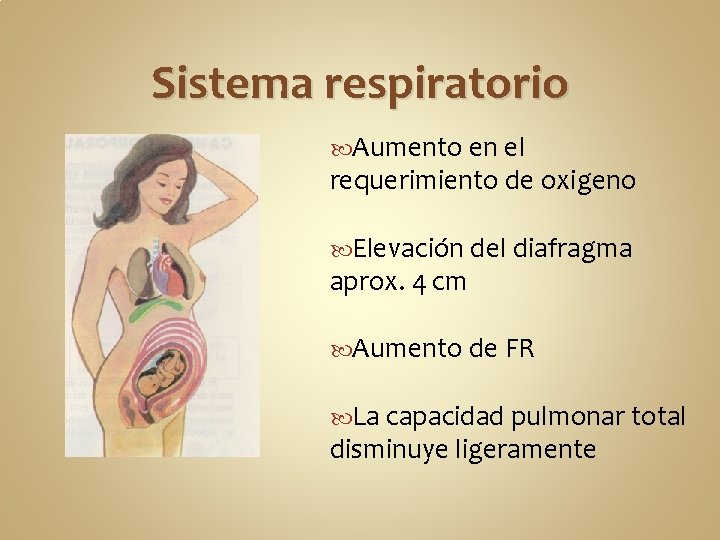 Sistema respiratorio Aumento en el requerimiento de oxigeno Elevación del diafragma aprox. 4 cm