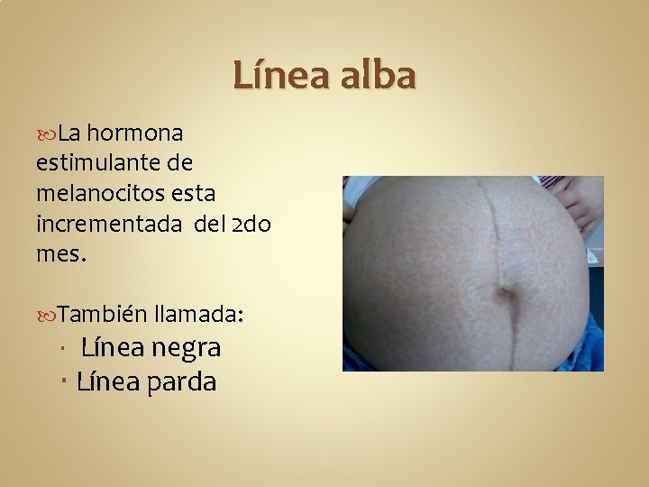 Línea alba La hormona estimulante de melanocitos esta incrementada del 2 do mes. También