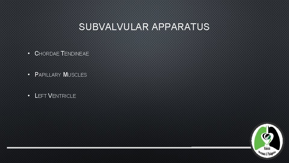 SUBVALVULAR APPARATUS • CHORDAE TENDINEAE • PAPILLARY MUSCLES • LEFT VENTRICLE 