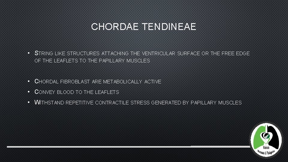 CHORDAE TENDINEAE • STRING LIKE STRUCTURES ATTACHING THE VENTRICULAR SURFACE OR THE FREE EDGE