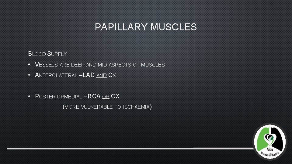 PAPILLARY MUSCLES BLOOD SUPPLY • VESSELS ARE DEEP AND MID ASPECTS OF MUSCLES •