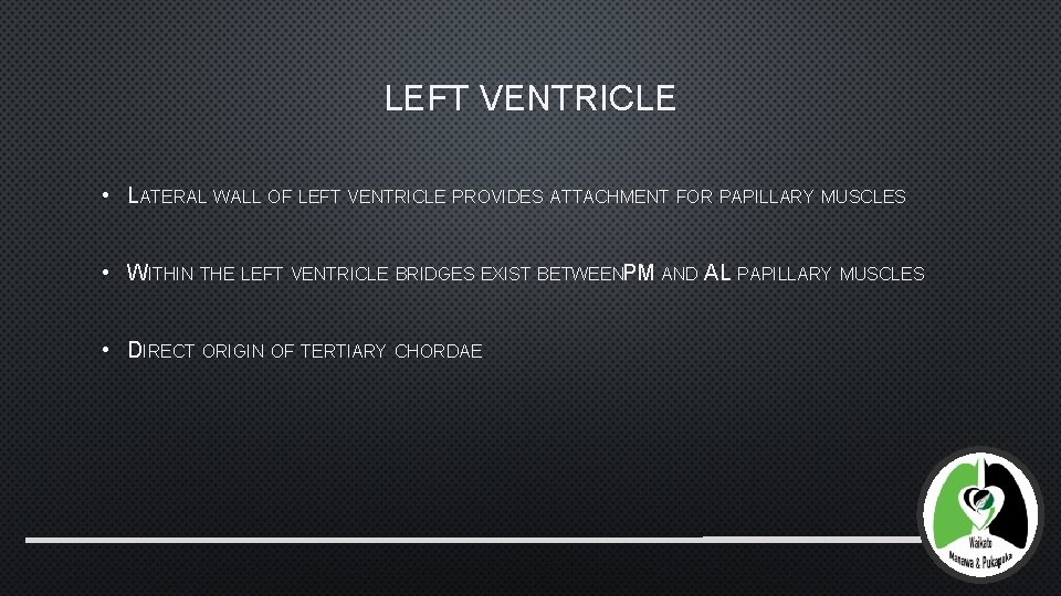 LEFT VENTRICLE • LATERAL WALL OF LEFT VENTRICLE PROVIDES ATTACHMENT FOR PAPILLARY MUSCLES •