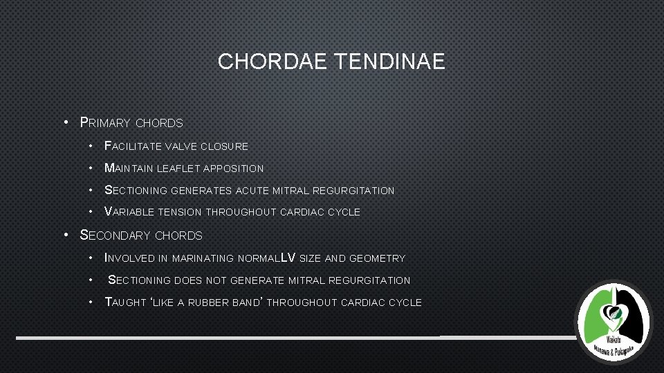 CHORDAE TENDINAE • PRIMARY CHORDS • FACILITATE VALVE CLOSURE • MAINTAIN LEAFLET APPOSITION •