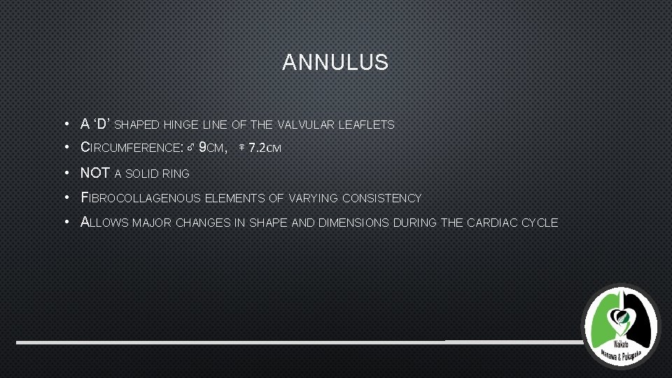 ANNULUS • A ‘D’ SHAPED HINGE LINE OF THE VALVULAR LEAFLETS • CIRCUMFERENCE: ♂