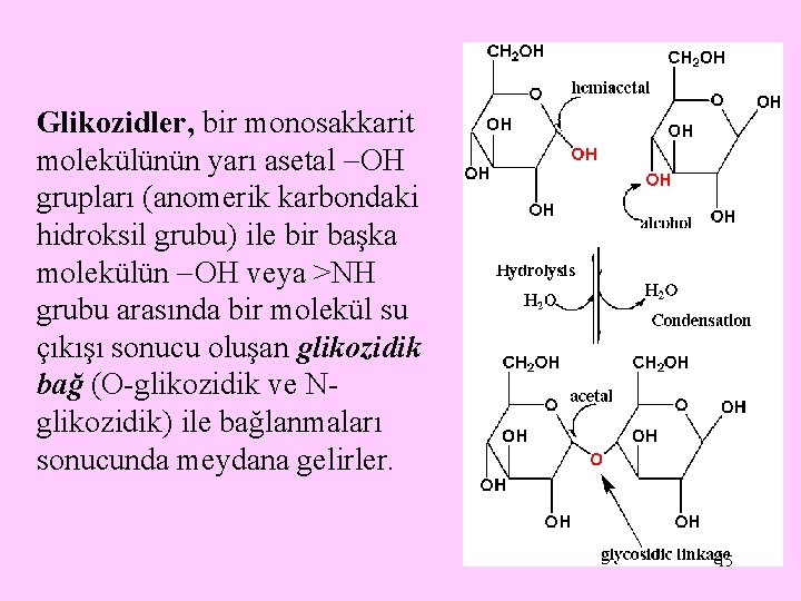 Glikozidler, bir monosakkarit molekülünün yarı asetal OH grupları (anomerik karbondaki hidroksil grubu) ile bir
