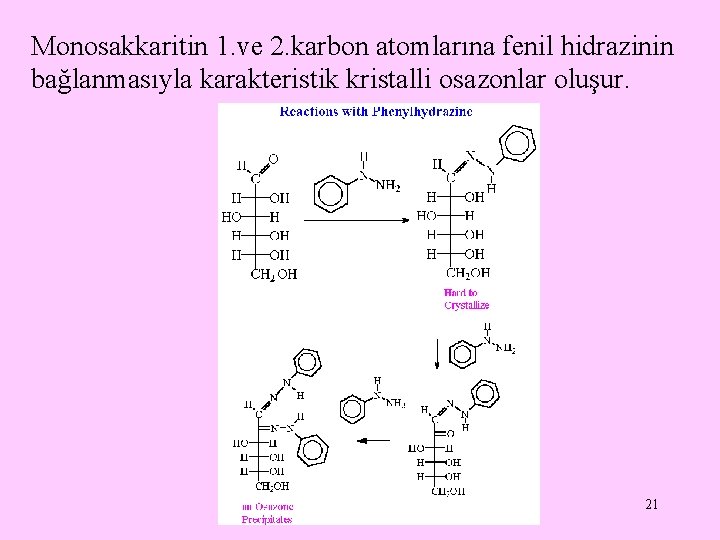 Monosakkaritin 1. ve 2. karbon atomlarına fenil hidrazinin bağlanmasıyla karakteristik kristalli osazonlar oluşur. 21
