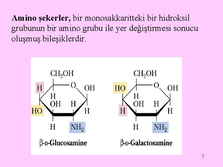 Amino şekerler, bir monosakkaritteki bir hidroksil grubunun bir amino grubu ile yer değiştirmesi sonucu