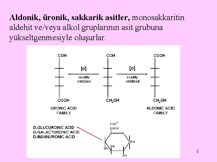 Aldonik, üronik, sakkarik asitler, monosakkaritin aldehit ve/veya alkol gruplarının asit grubuna yükseltgenmesiyle oluşurlar. 8