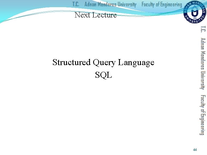 Next Lecture Structured Query Language SQL 44 