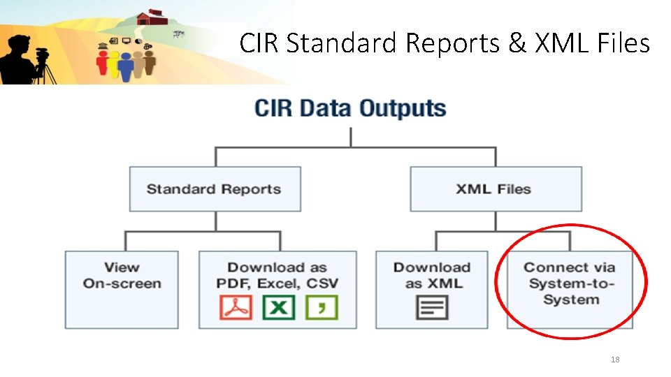 CIR Standard Reports & XML Files 18 