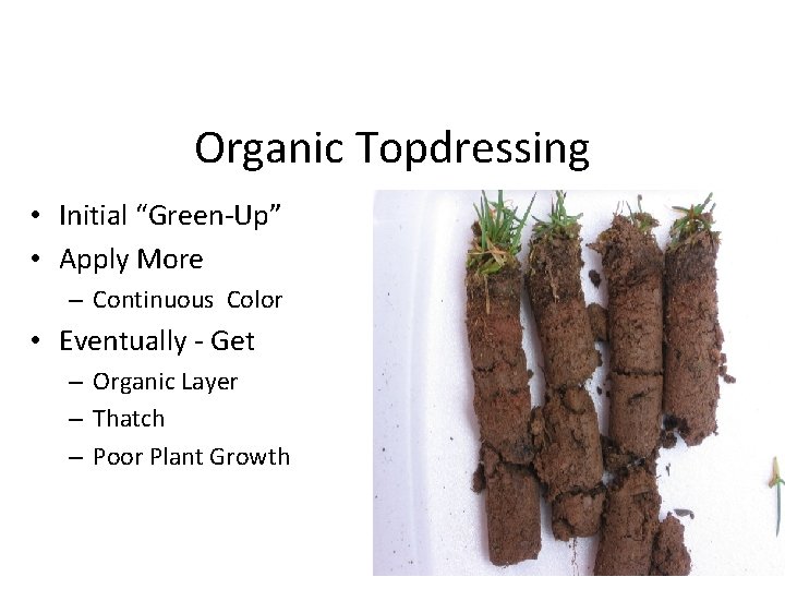 Organic Topdressing • Initial “Green-Up” • Apply More – Continuous Color • Eventually -