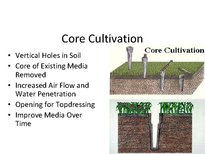 Core Cultivation • Vertical Holes in Soil • Core of Existing Media Removed •
