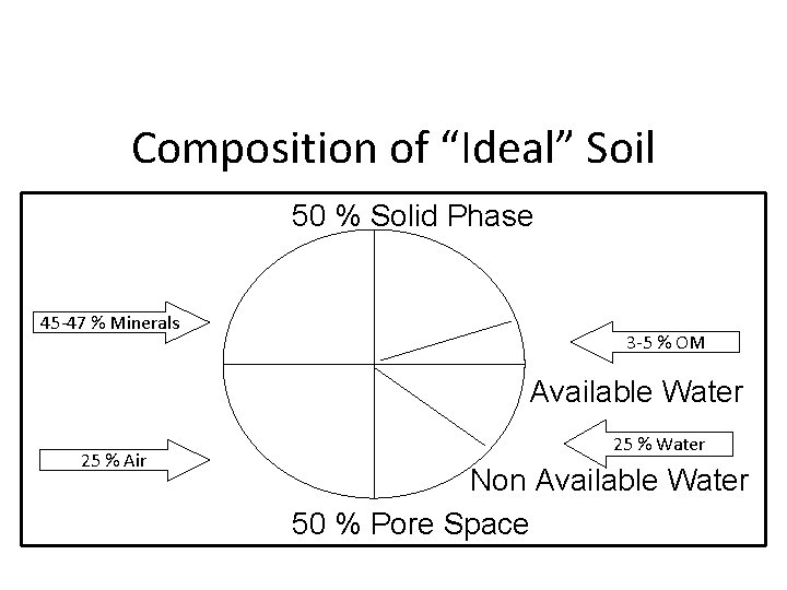 Composition of “Ideal” Soil 50 % Solid Phase 45 -47 % Minerals 3 -5