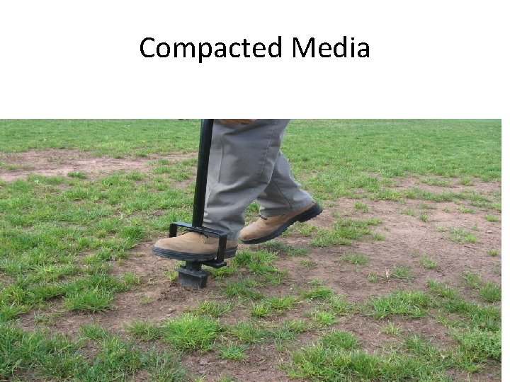 Compacted Media 