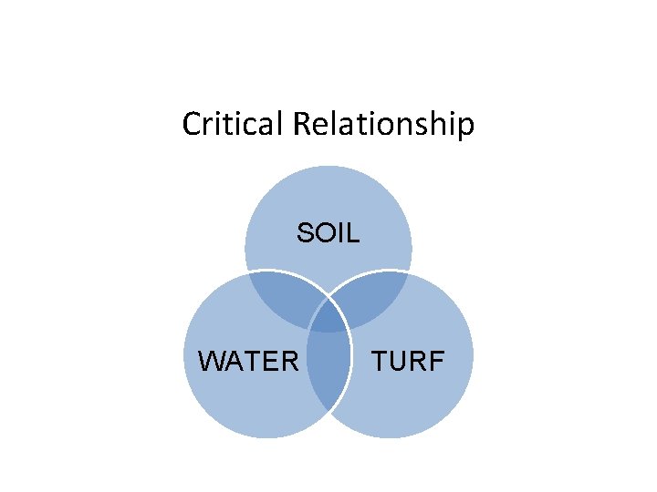 Critical Relationship SOIL WATER TURF 